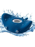 Bath Thermometer - Ray