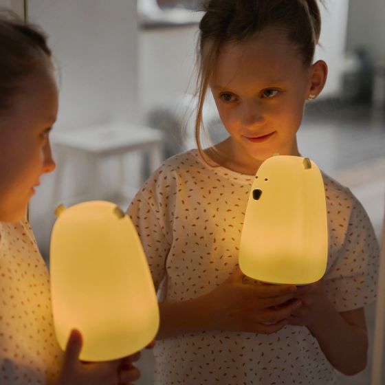 Big Bear Silicone Night Light with Remote Control
