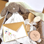 Little Bunny & Legacy Box