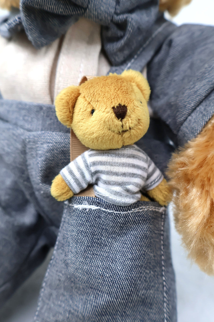 Daddy Bear and Mini Bear
