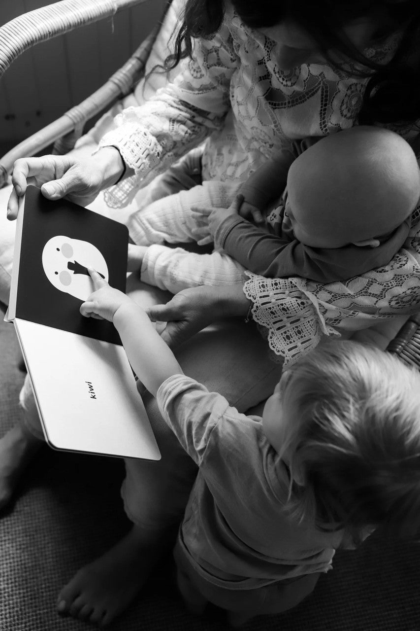 native nz baby meets bird book