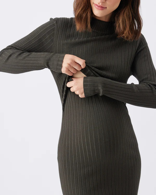 Nella Rib Nursing Knit Dress - Ivy