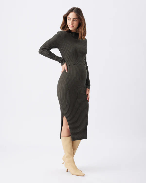 Nella Rib Nursing Knit Dress - Ivy