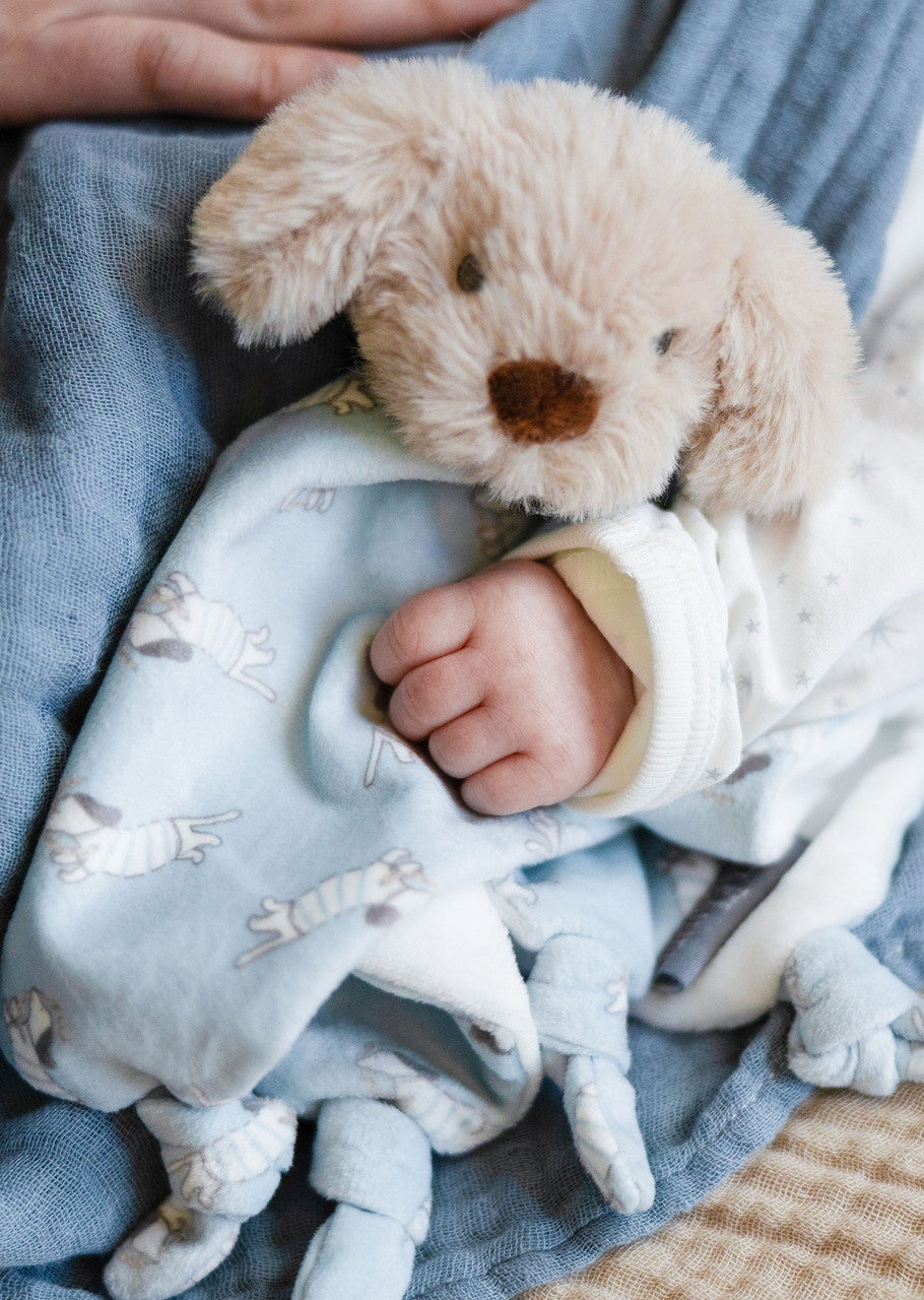 Lovie Comforters - Barklife Dog