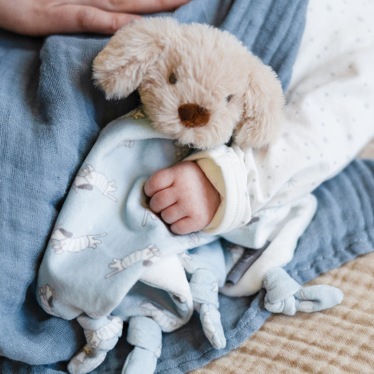 Barklife Dog Comforter