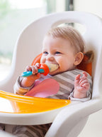 Pulp Teething Feeder