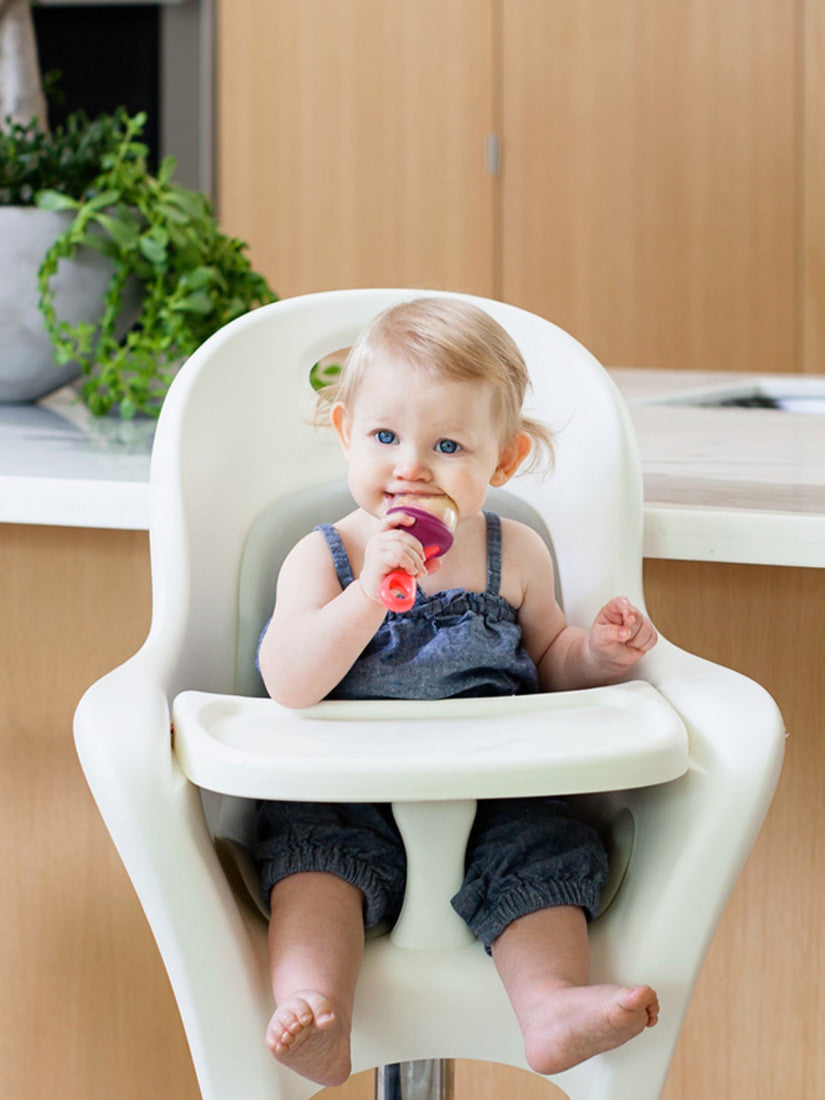 Pulp Teething Feeder