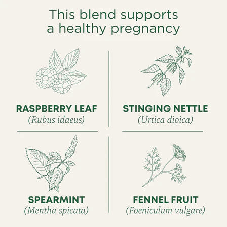 Organic Pregnancy® Tea | 16 Tea Bags